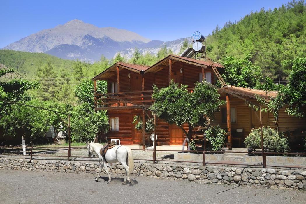 Oranj Ranch Hotel Кемер Экстерьер фото
