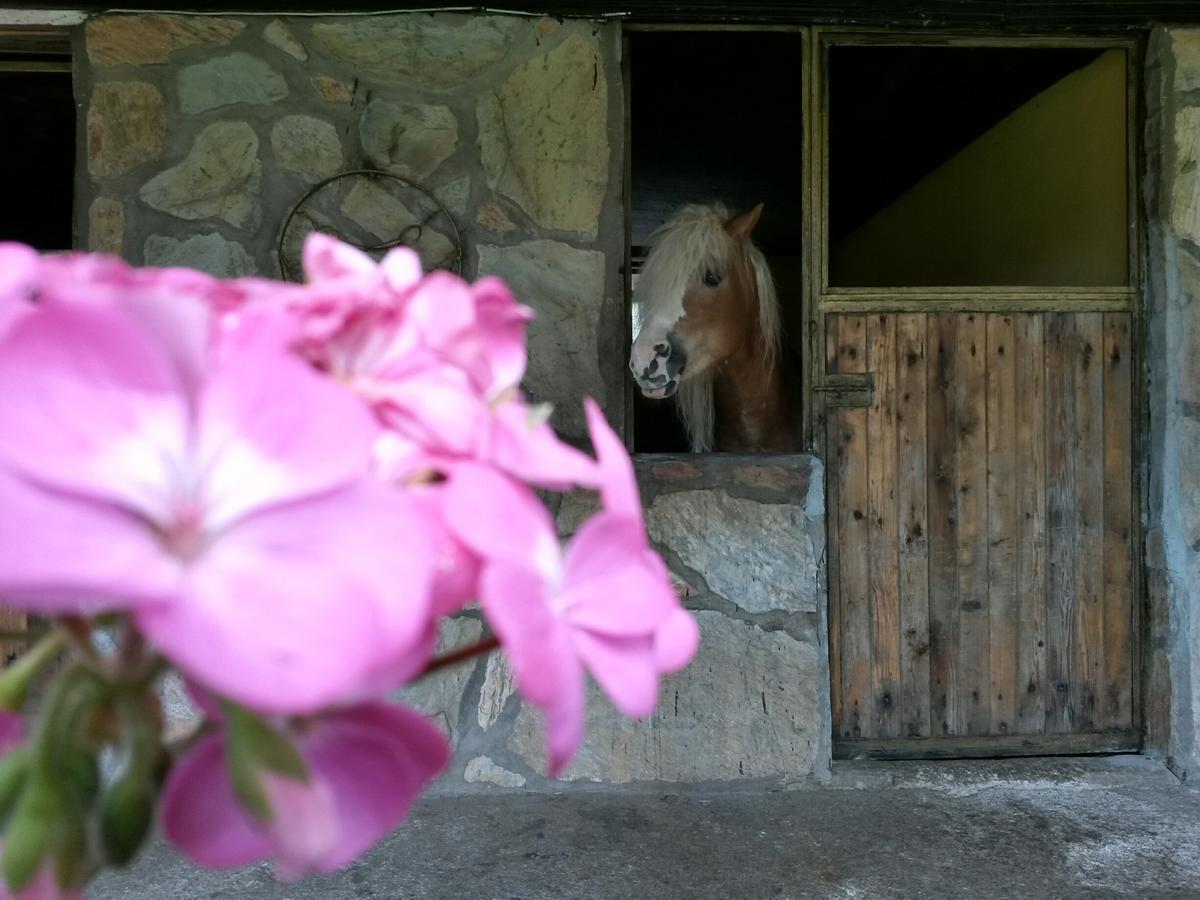 Oranj Ranch Hotel Кемер Экстерьер фото