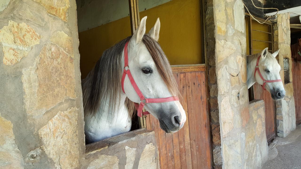 Oranj Ranch Hotel Кемер Экстерьер фото